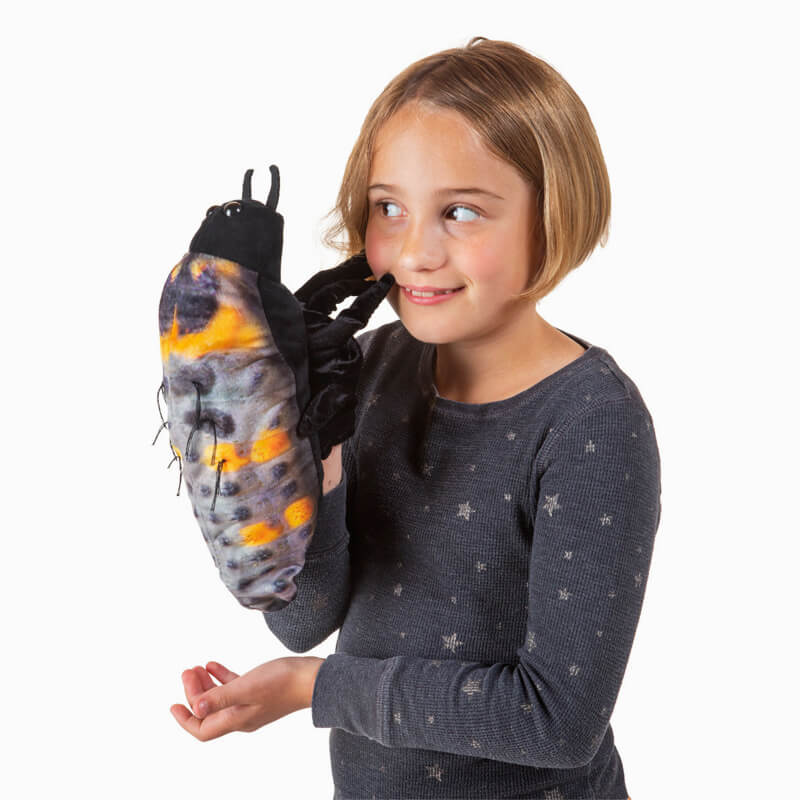 Ladybug Life Cycle Puppet