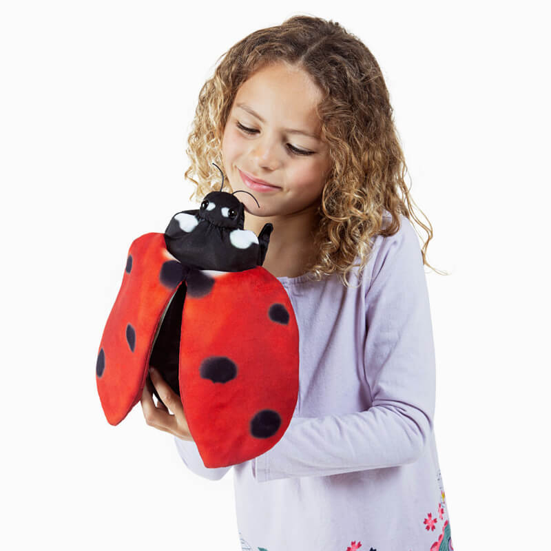 Ladybug Life Cycle Puppet