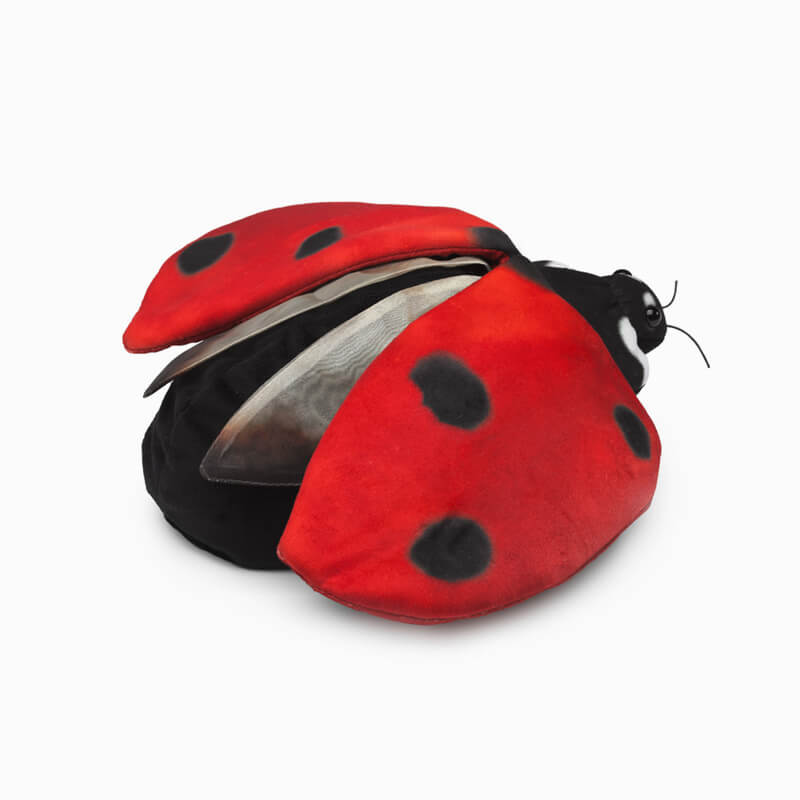 Ladybug Life Cycle Puppet